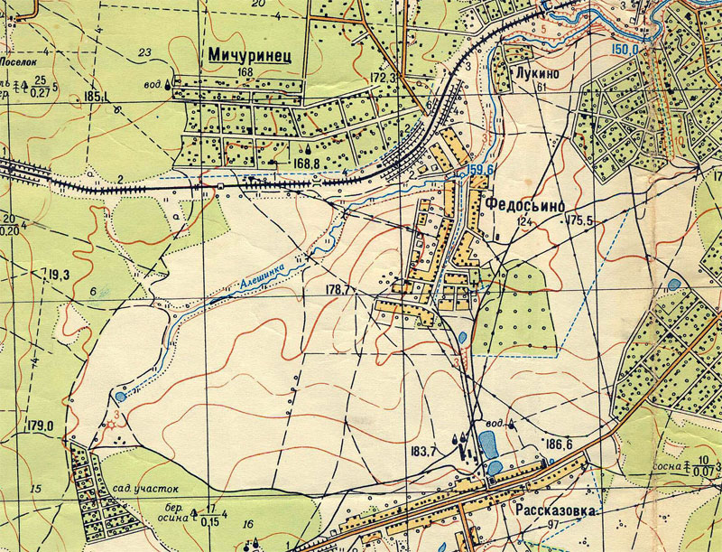 aleshinka1968.jpg