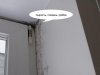 мастерская дмитрия брагина отзывы.jpg